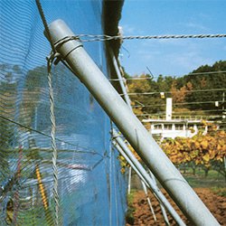 イメージ：ワイングリップ